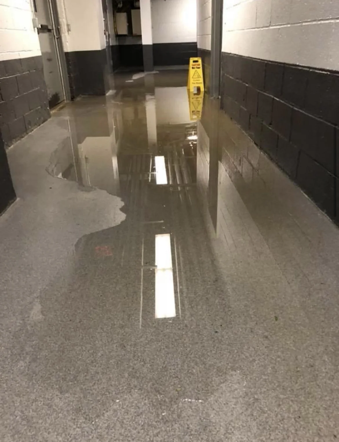 Case Study Hammerhead™️ Amalgamated Warbasse Houses Brooklyn, NY