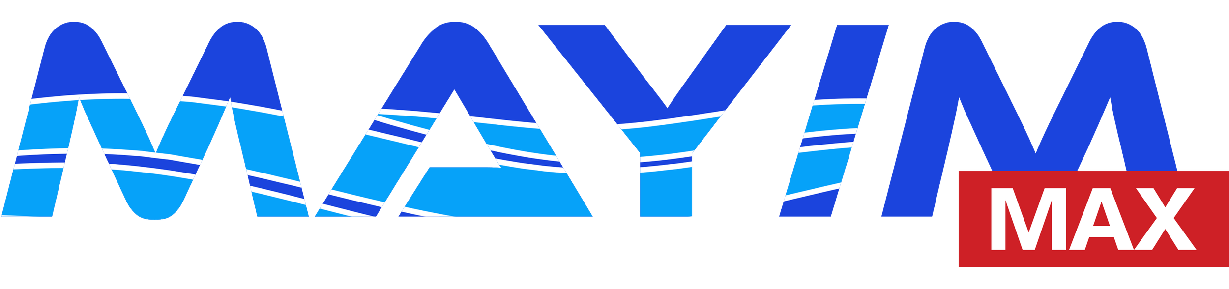 Mayim MAX Logo - 3000 - Resized.png