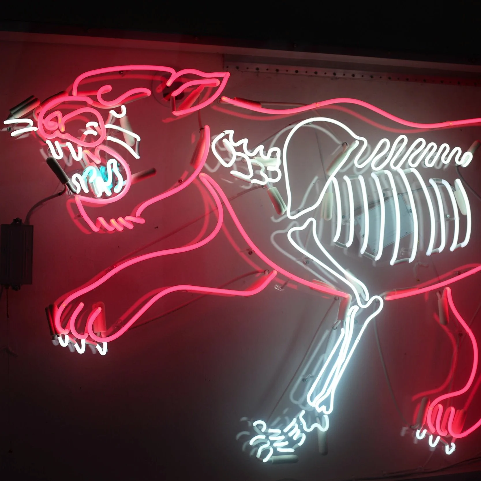 Electric Beast 2018 — neon artwork by Dani Bonnet, Los Angeles neon artist