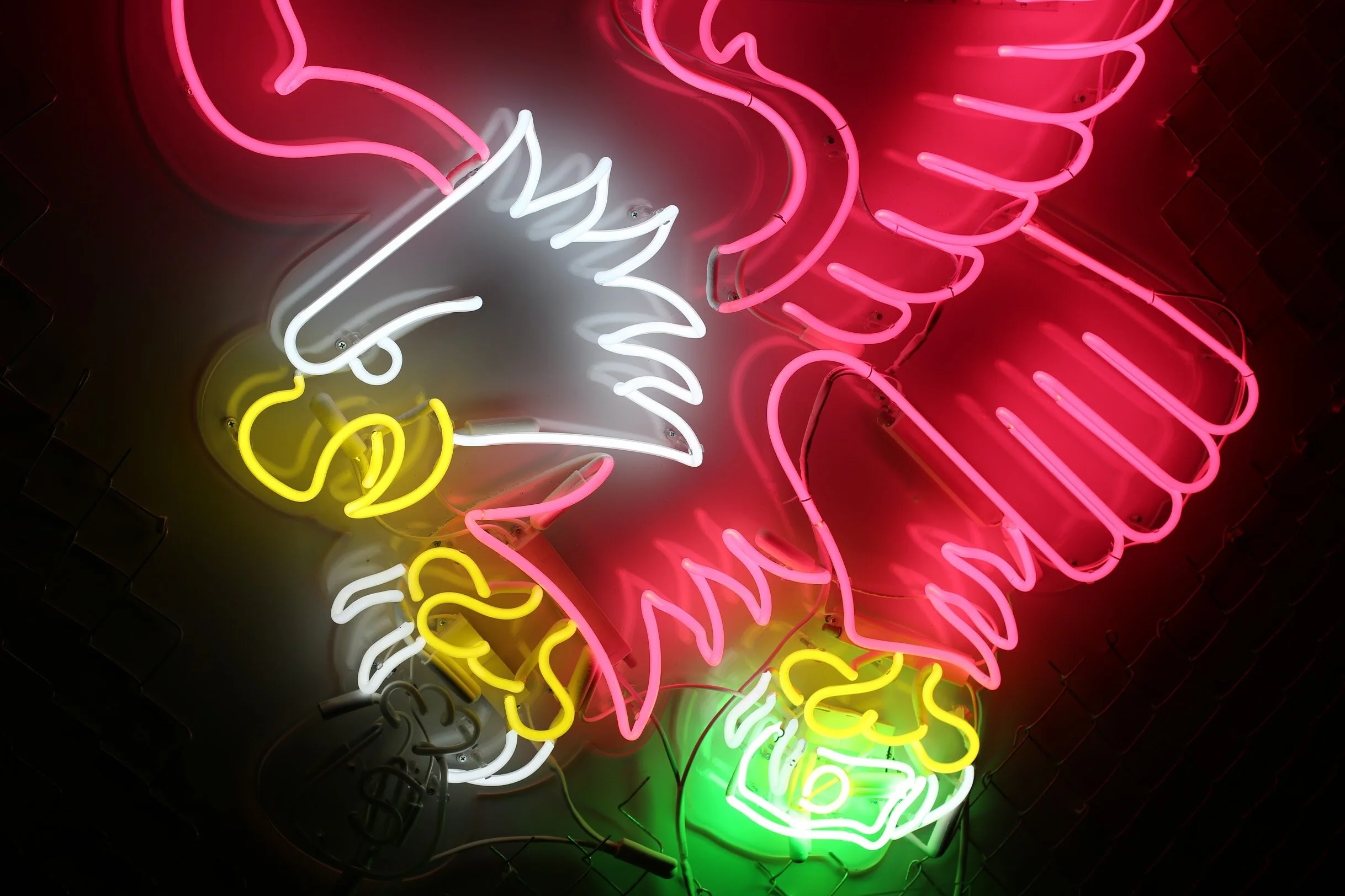 Electric Beast 2020 — neon artwork by Dani Bonnet, Los Angeles neon artist