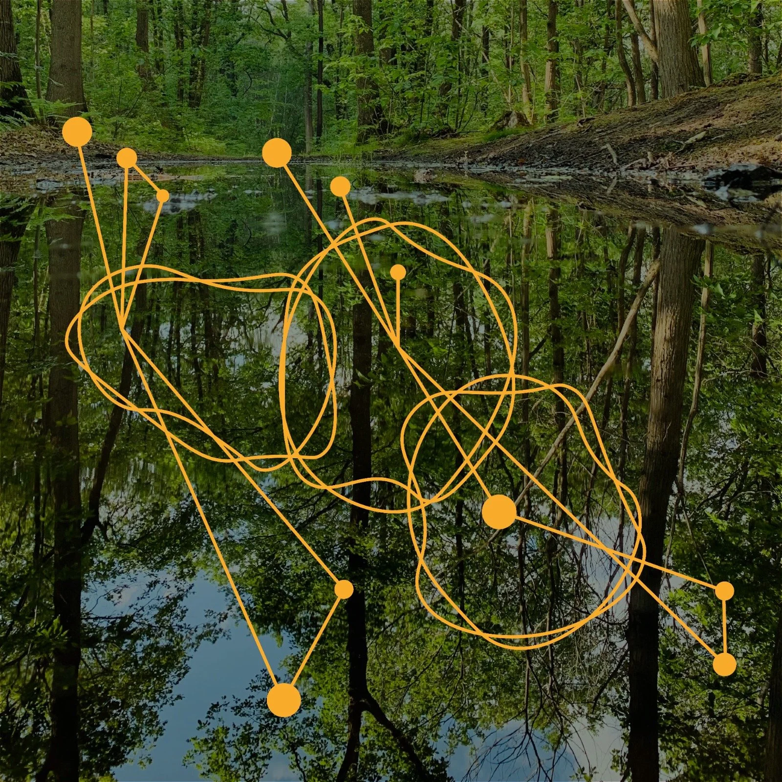 A forest scene with tall trees and green foliage reflected in a calm body of water. There are orange lines and dots overlaid on the image, forming a complex, tangled pattern.