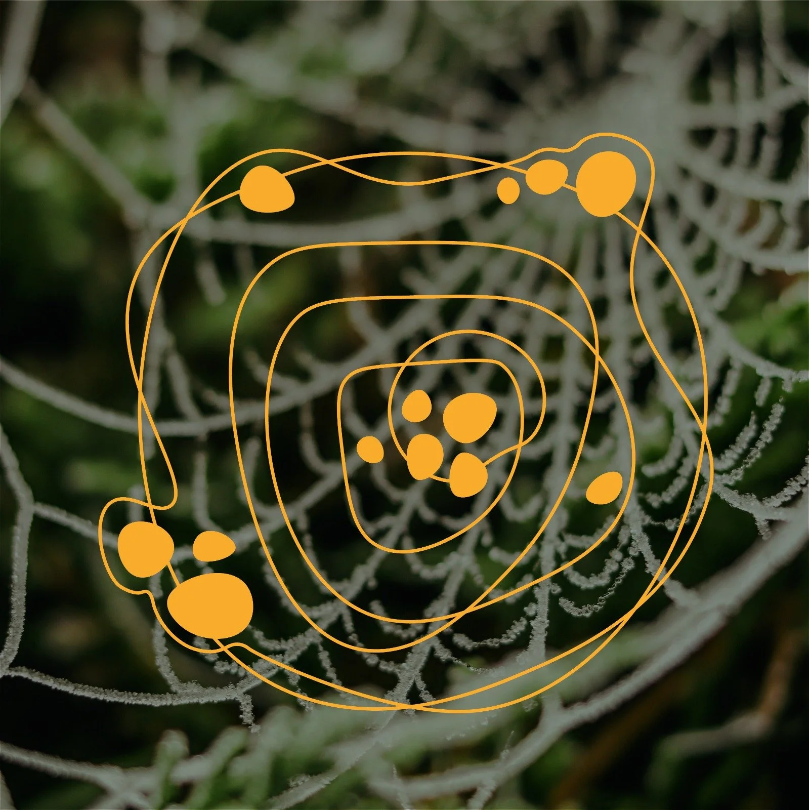 Close-up of a plant with white, net-like structures and green parts in the background, overlaid with orange lines and circles indicating scientific or biological diagram.
