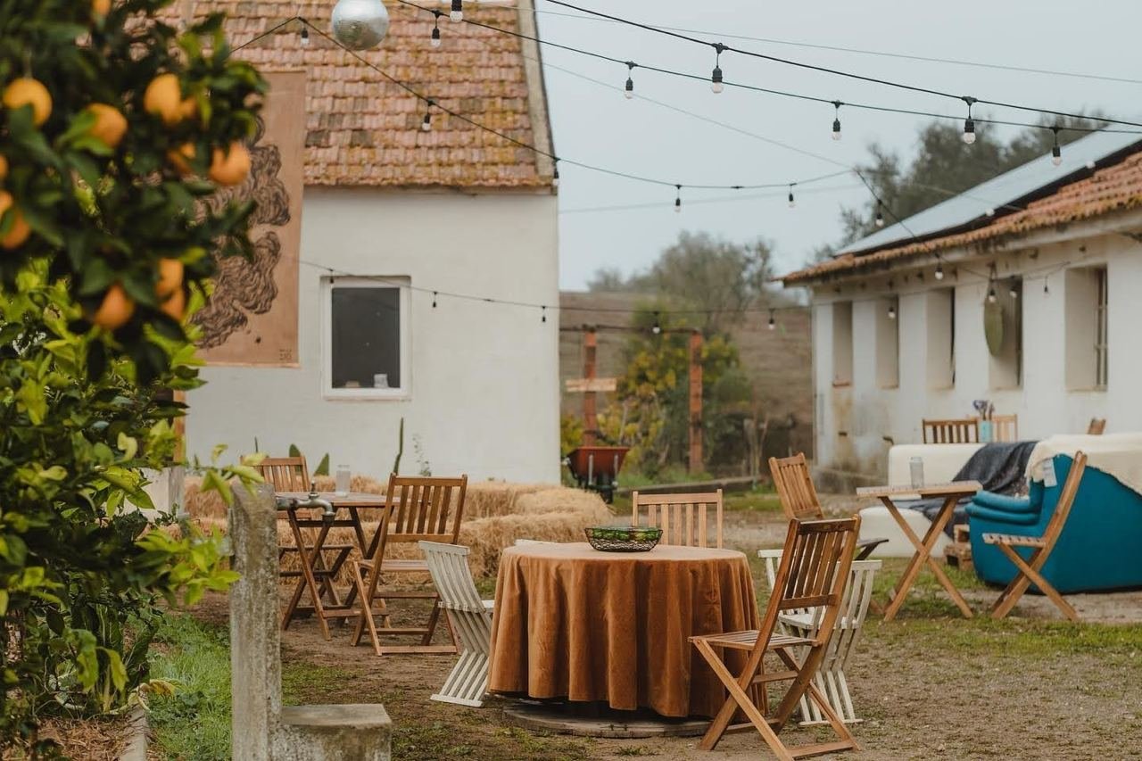 Outdoor patio area with wooden chairs and tables, string lights overhead, a house in the background, and a tree with orange fruit on the left side.