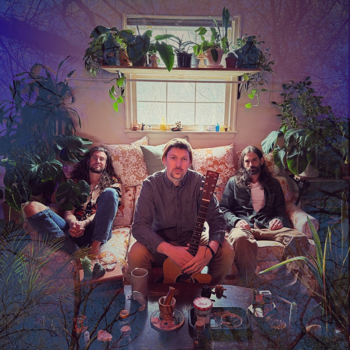 Matthew Scott and The House Plant