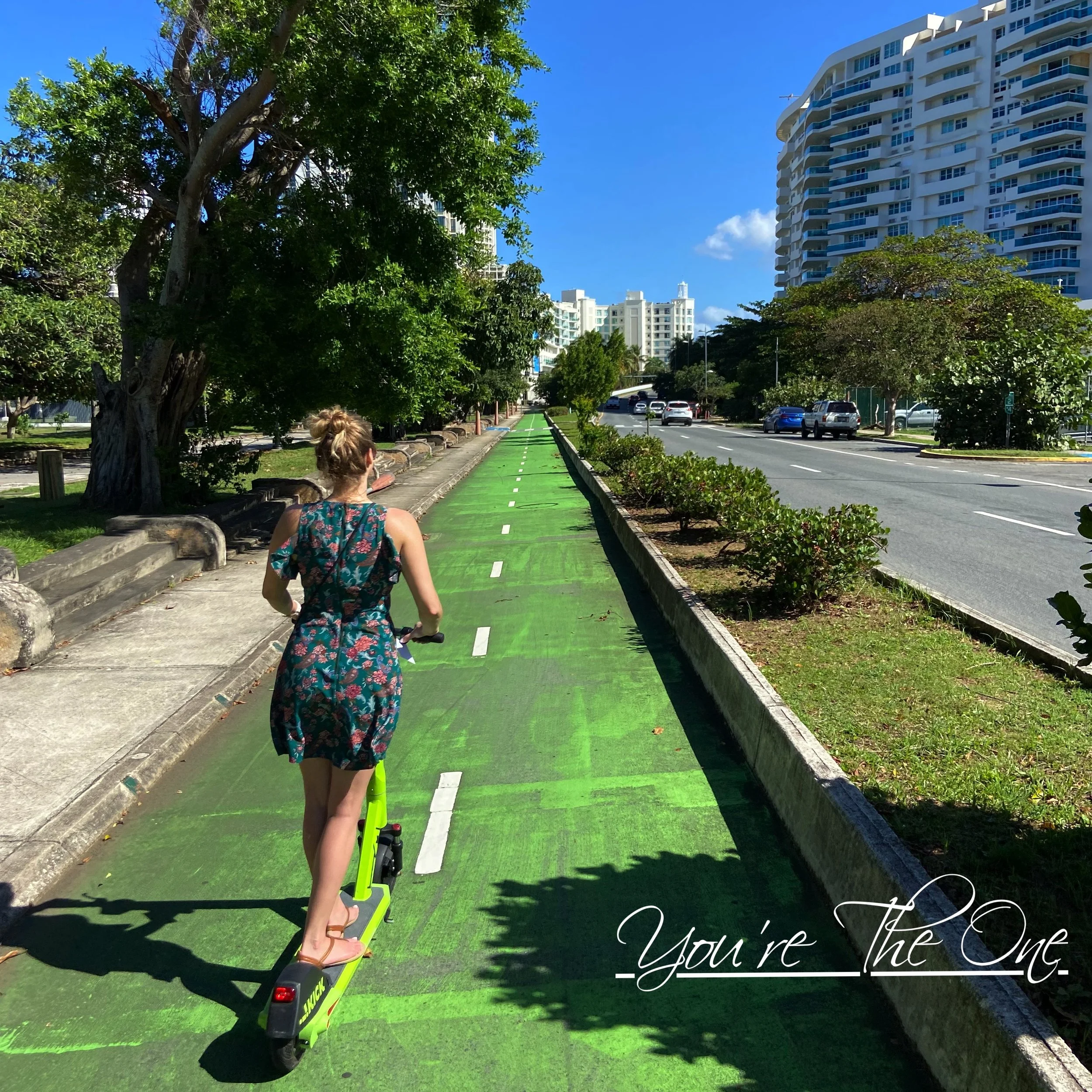 You're The One Cover art V.2.5.jpg