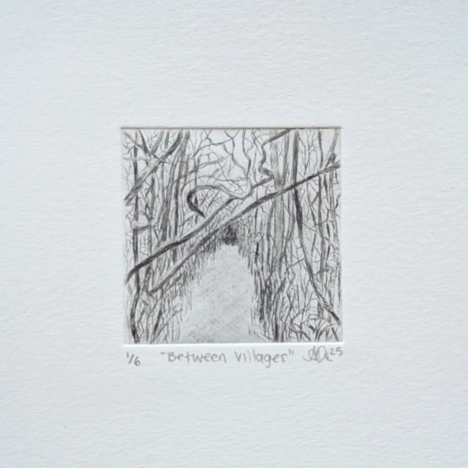 Drypoint Print Commission (Released Editions)