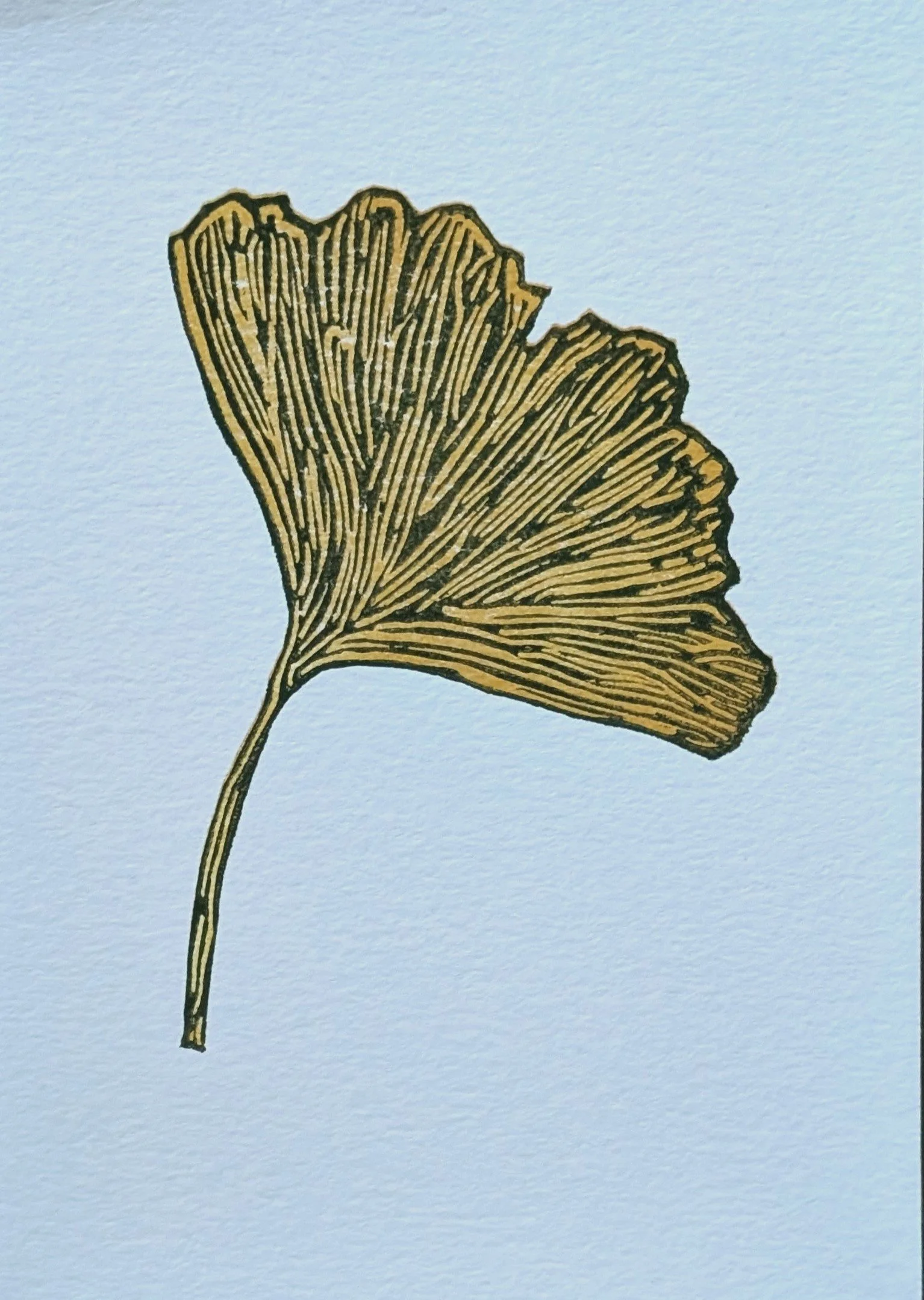 ReductionLino_1.jpg (Copy)