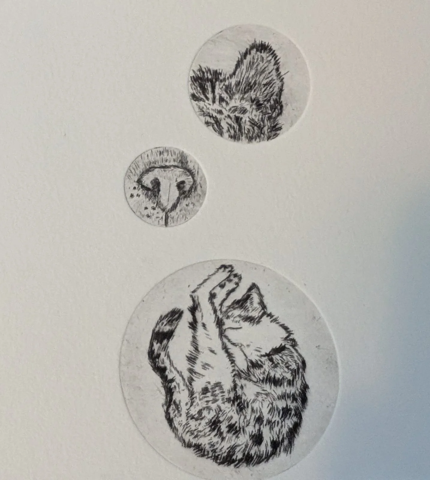 WhatsApp Image 2025-03-30 at 2.40.55 AM.jpeg (Copy)