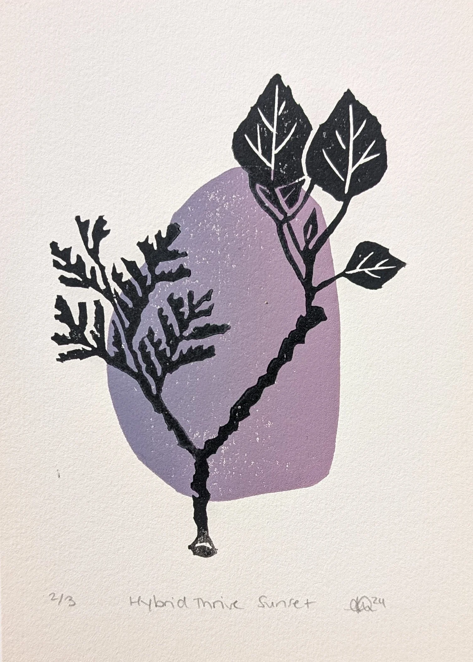 8_Andrea_HybridThriveSunset.jpg (Copy)