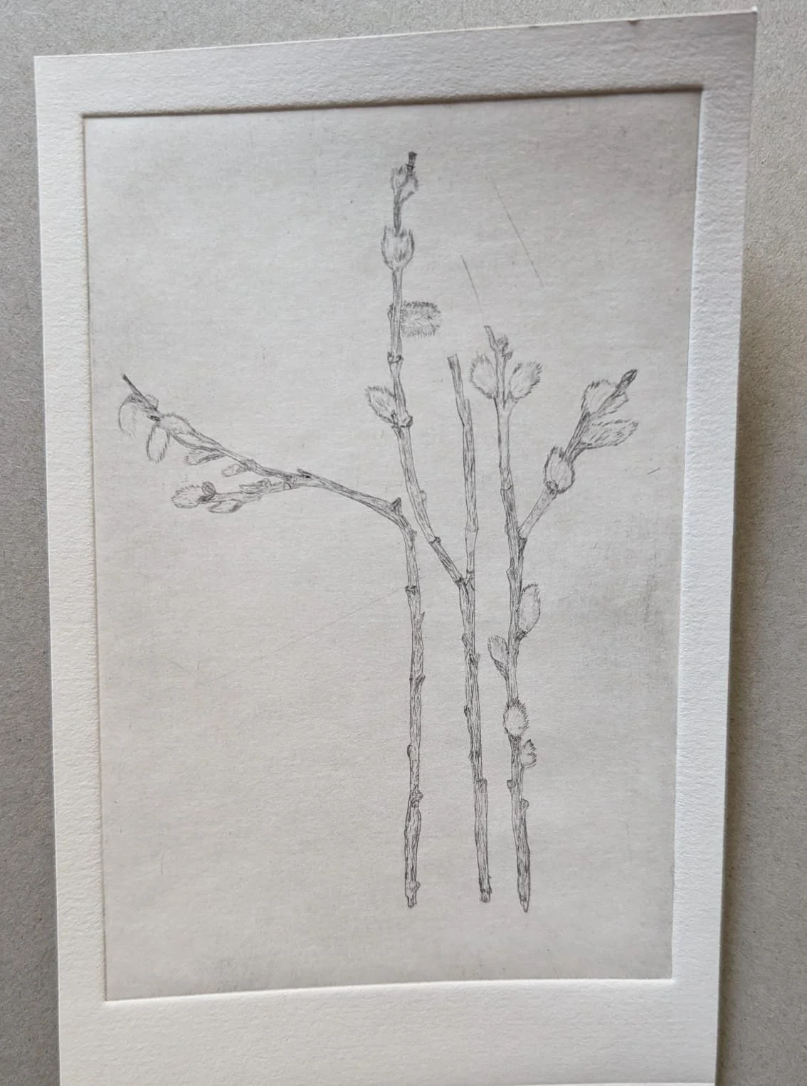 WhatsApp Image 2025-04-22 at 6.08.40 PM.jpeg (Copy)