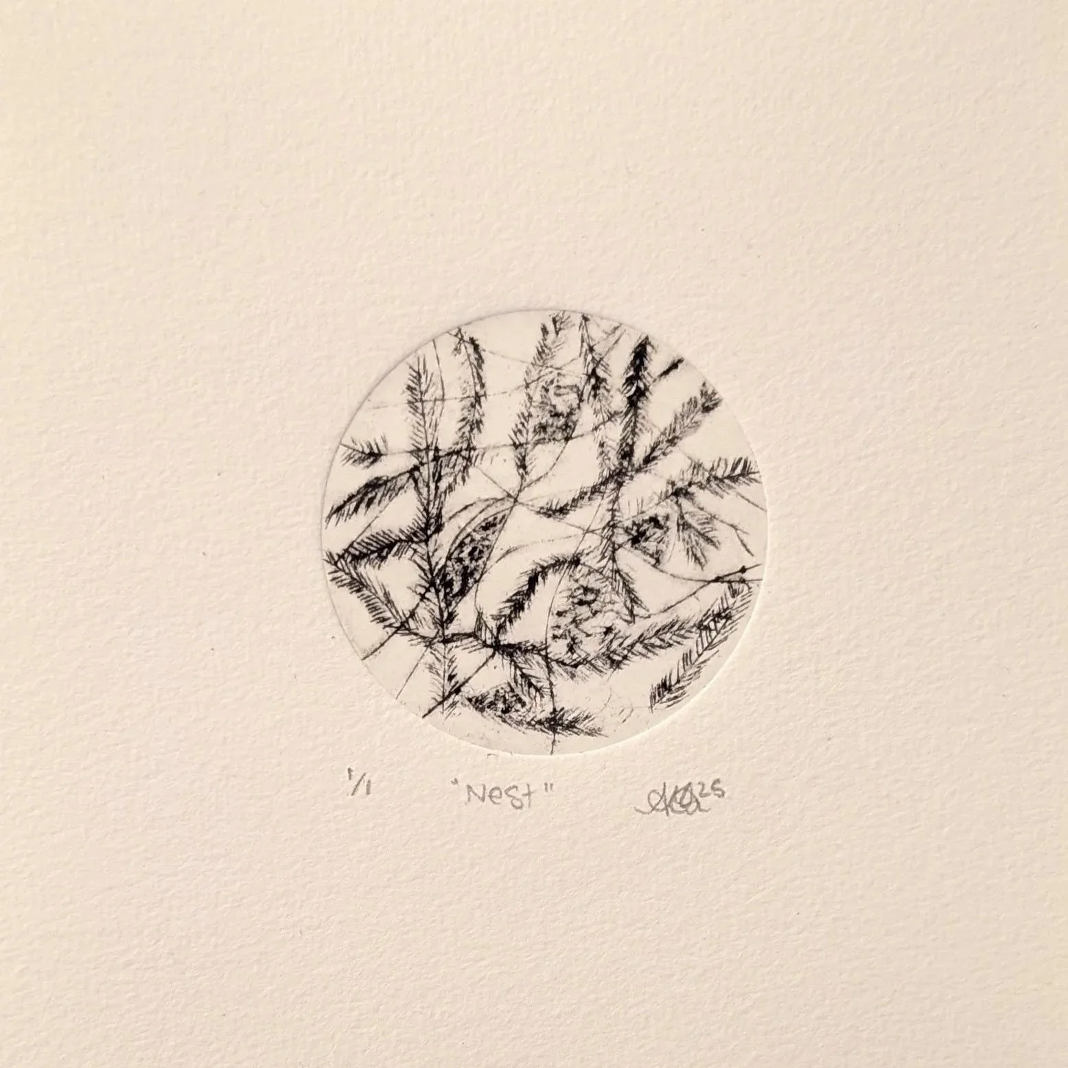 AndreaMcCallum_Nest.jpg (Copy)