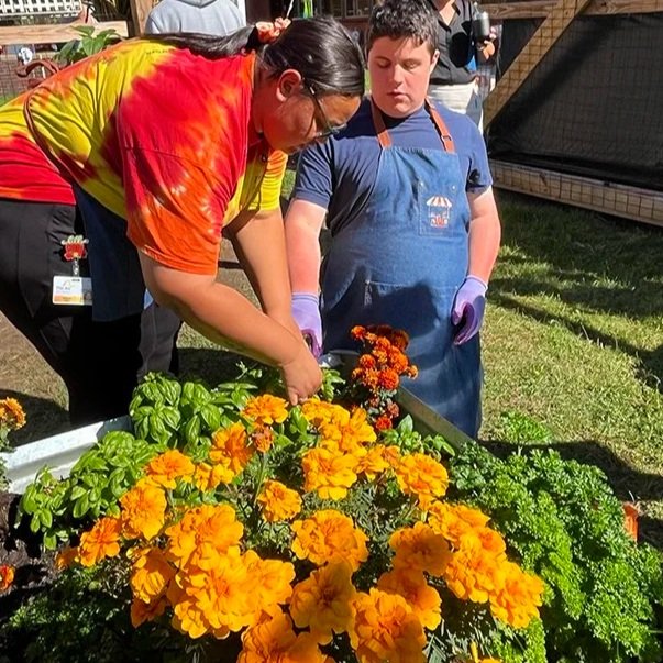 A female staff member in an orange, yellow, and red tie dye t-shirt is instructing a young man with how to properly deadhead and care for orange marigold flowers.