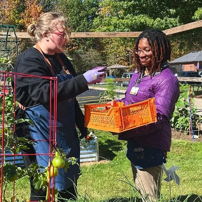 There are two women in the photo working in the garden, one of them is holding an orange tray and the other is instructing her with information about the vegetables.