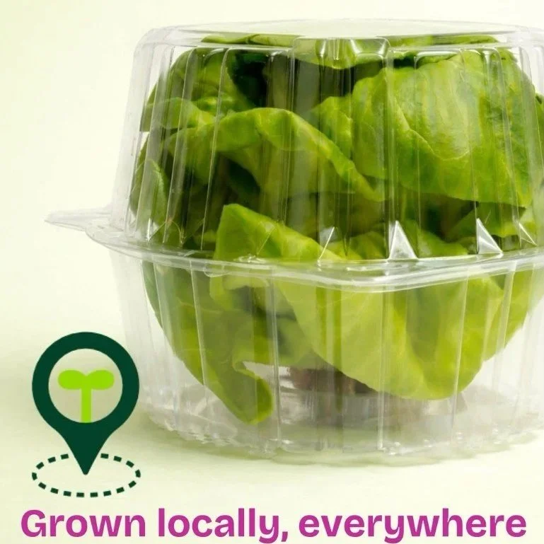 Nimble Slogan, Grown locally, everywhere and photo of lettuce in clamshell packaging.