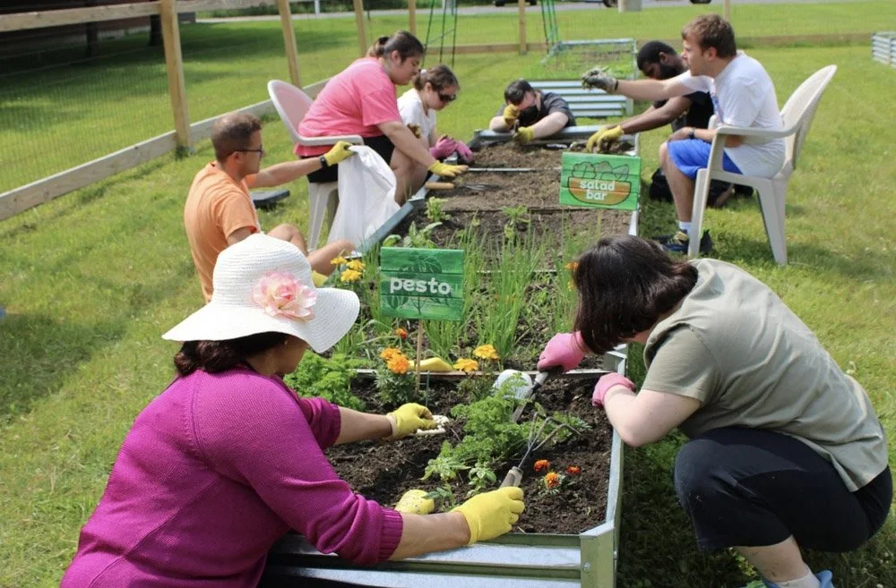 horticulture 3.jpg