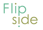 Flipside Visual 2021