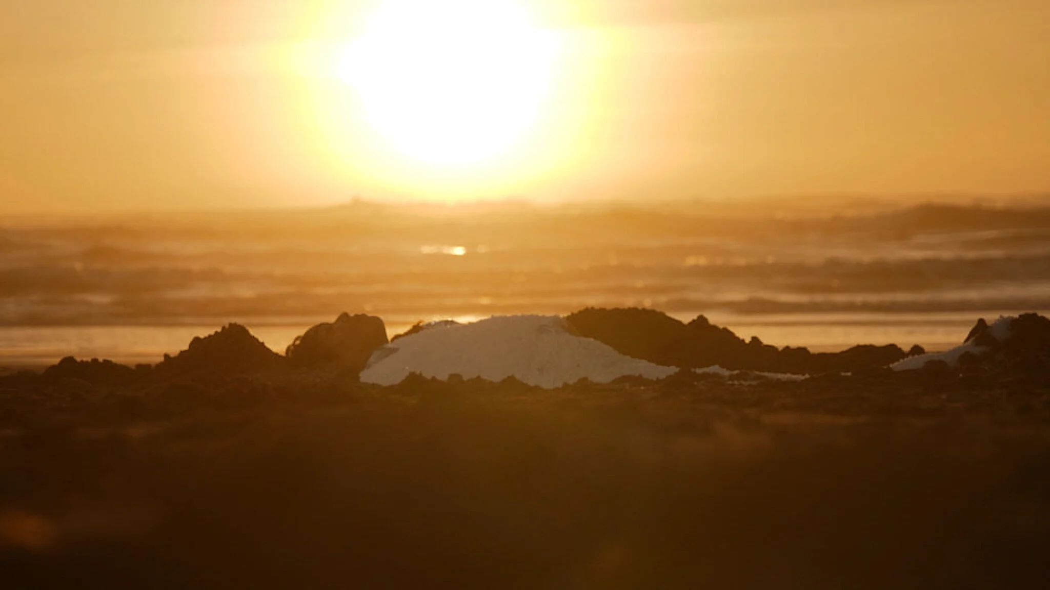 Letter from the Editor Photo.JPG