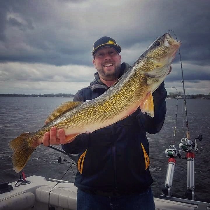 Detroit River Walleye - The Great Lakes Fisherman
