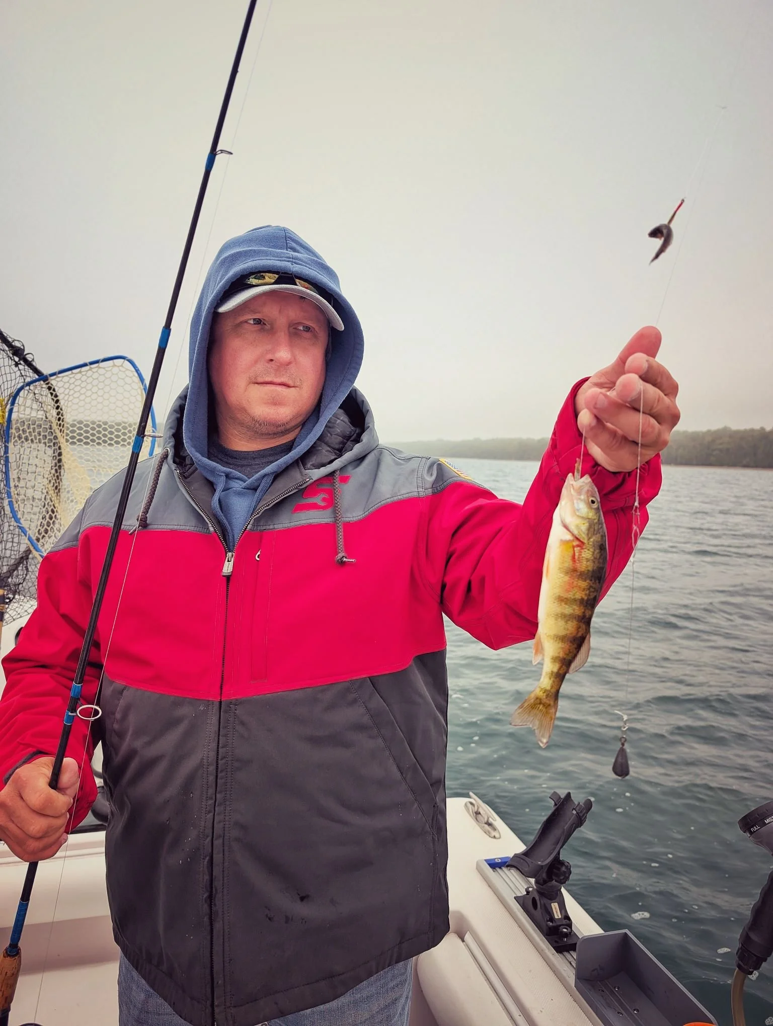  An angler holding a fresh yellow perch caught during a crisp fall day on Drummond Island with Reel Fish'n LLC, based out of Drummond Island Yacht Haven.   