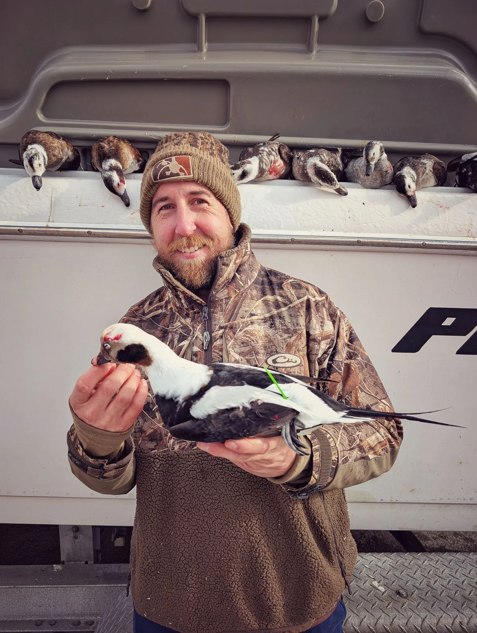  A hunter displaying a mature, trophy-grade Longtail (Old Squaw) shot during a guided sea duck hunt on Saginaw Bay with Reel Fish'n LLC.   