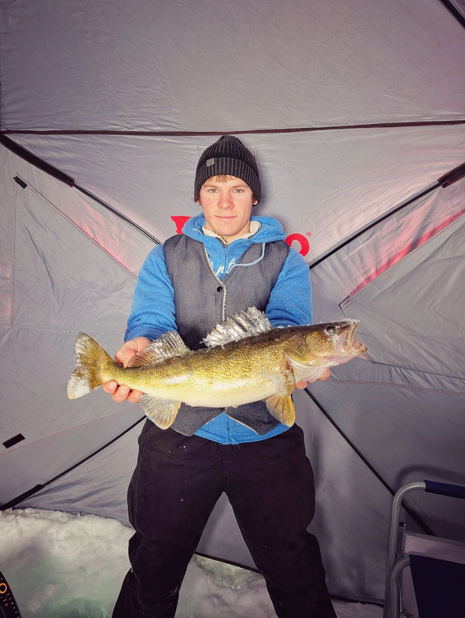  An angler holding a beautiful Saginaw Bay walleye caught inside a heated hub shanty while ice fishing out of Linwood, MI.   