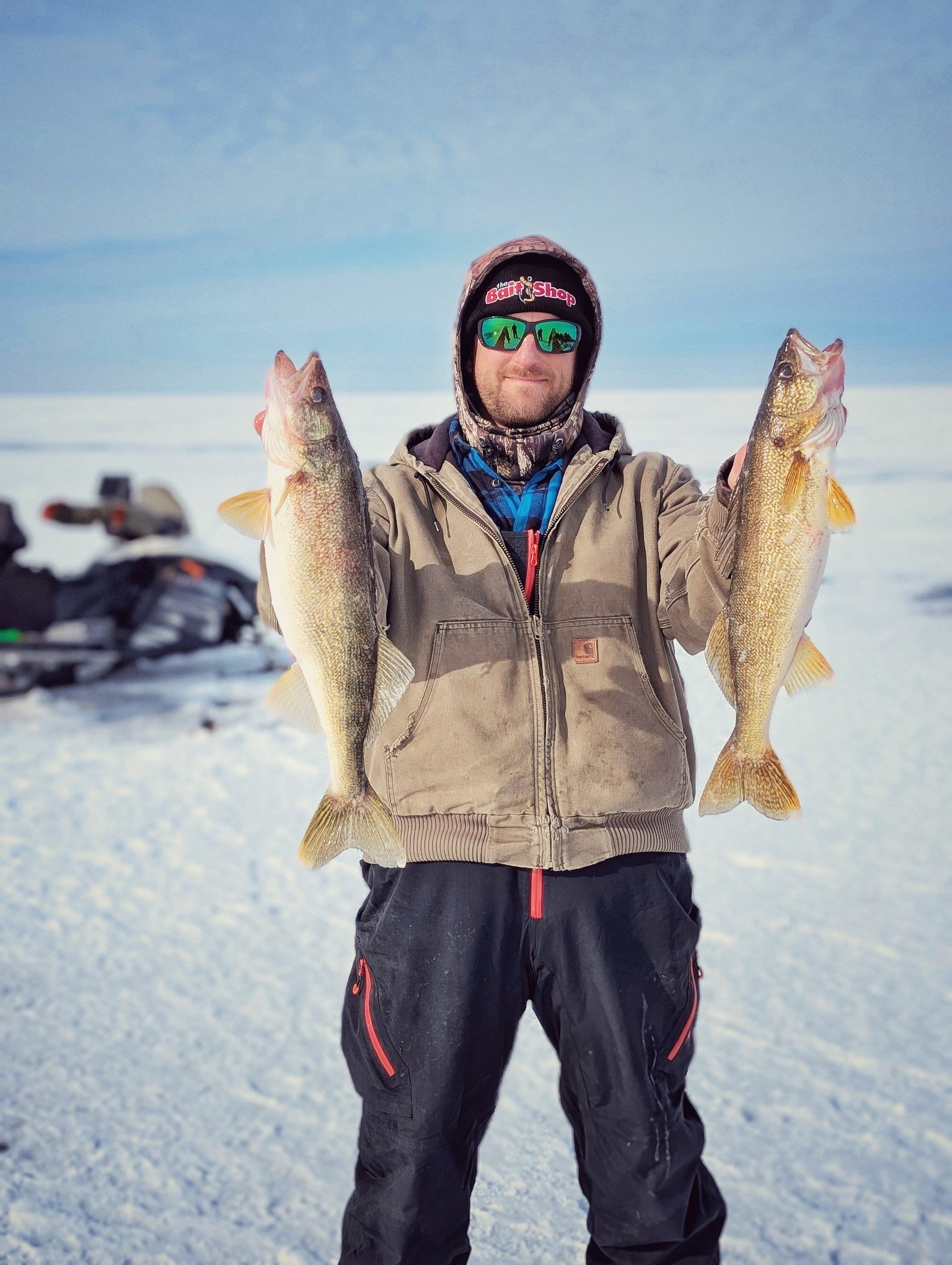  An angler holding a pair of Saginaw Bay walleyes caught during a mobile ice fishing trip using snowmobile transport to find the active schools.   