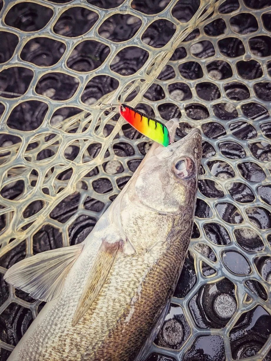 13 fishing fate black spinning combo 13 Fishing Fate +S Saltwater Spinning Rods  Tackle World