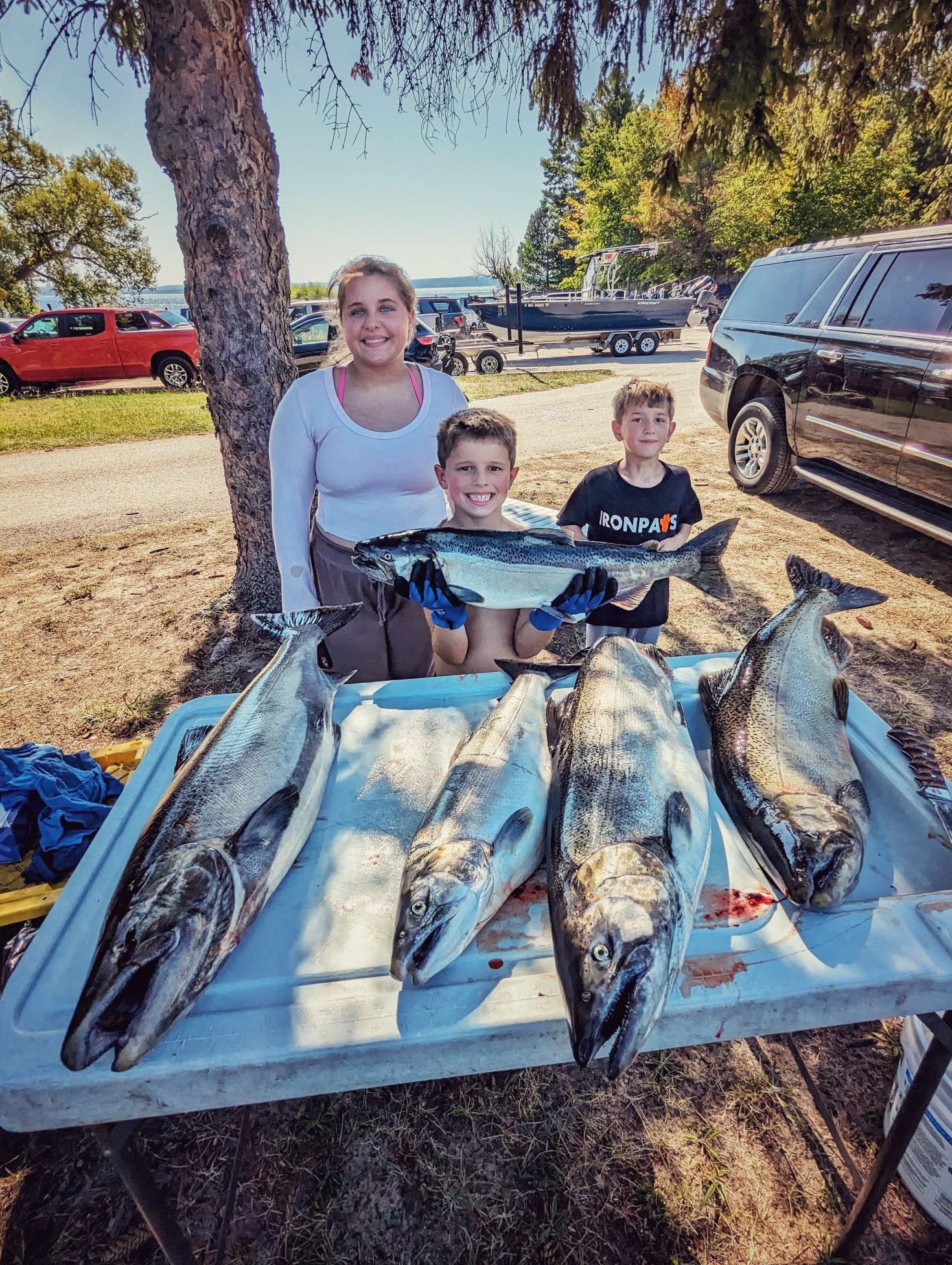 A massive haul of fresh salmon and trout laid out on the cleaning table after a productive Grand Traverse Bay charter with Reel Fish'n LLC.