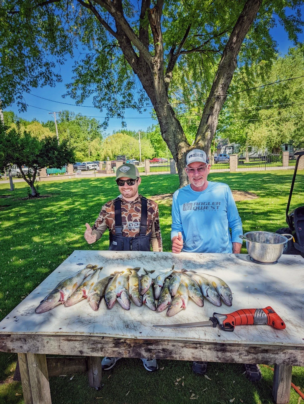 Two men standing behind a table with freshly caught fish outdoors on a sunny day, with a large tree and a park in the background.