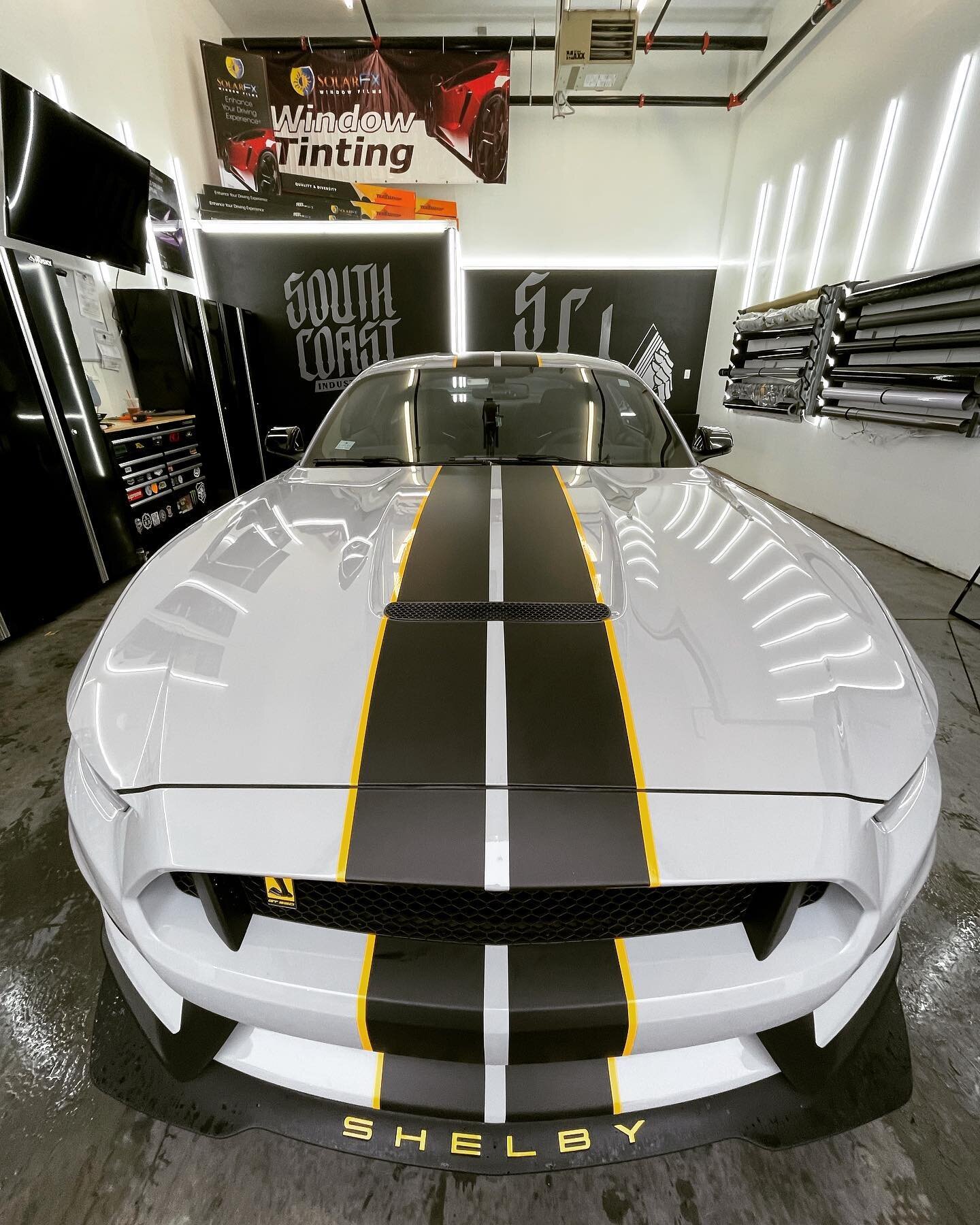 🥶🥶🥶 #shelbygt350 @thejames_v