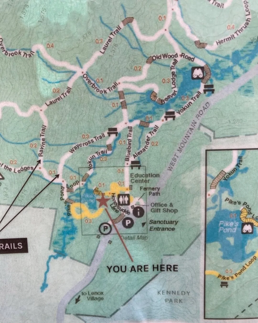 You are here 🥾🇮🇱💪#mindovermatterathlete