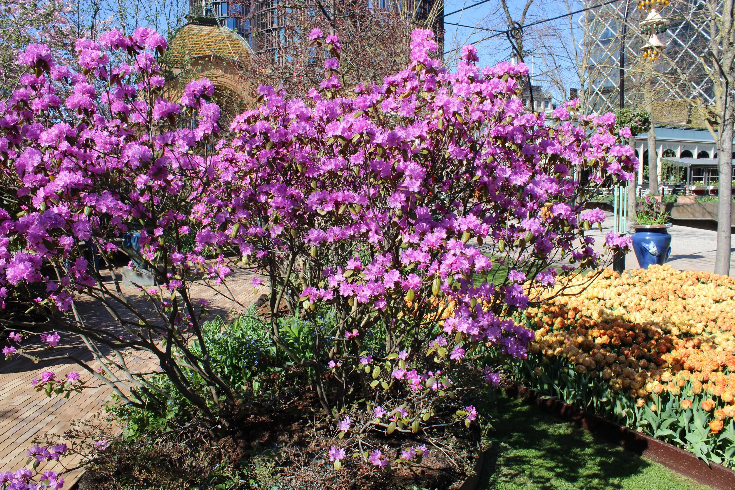 IMG_6568.JPG