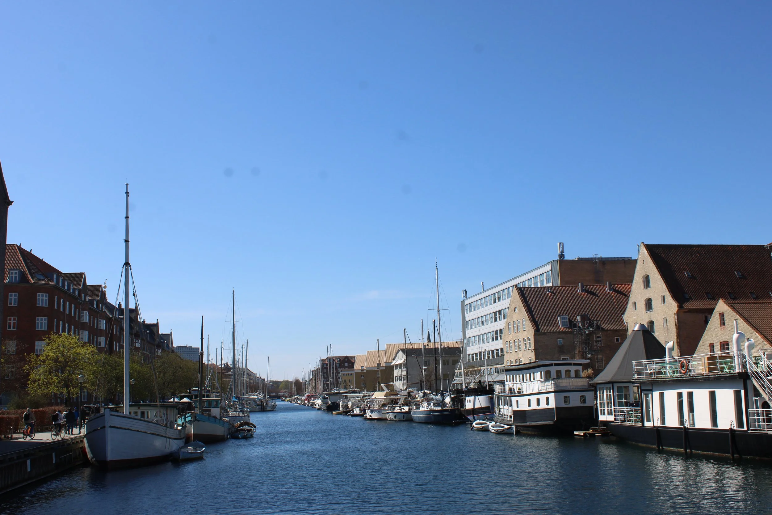 IMG_6548.JPG