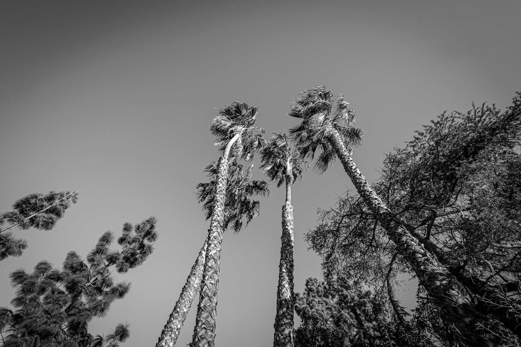 6A7A1095.jpg