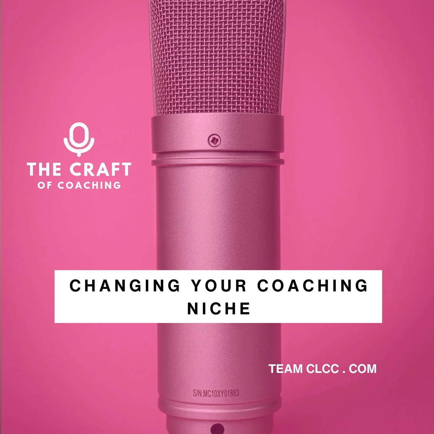 changing your coaching niche