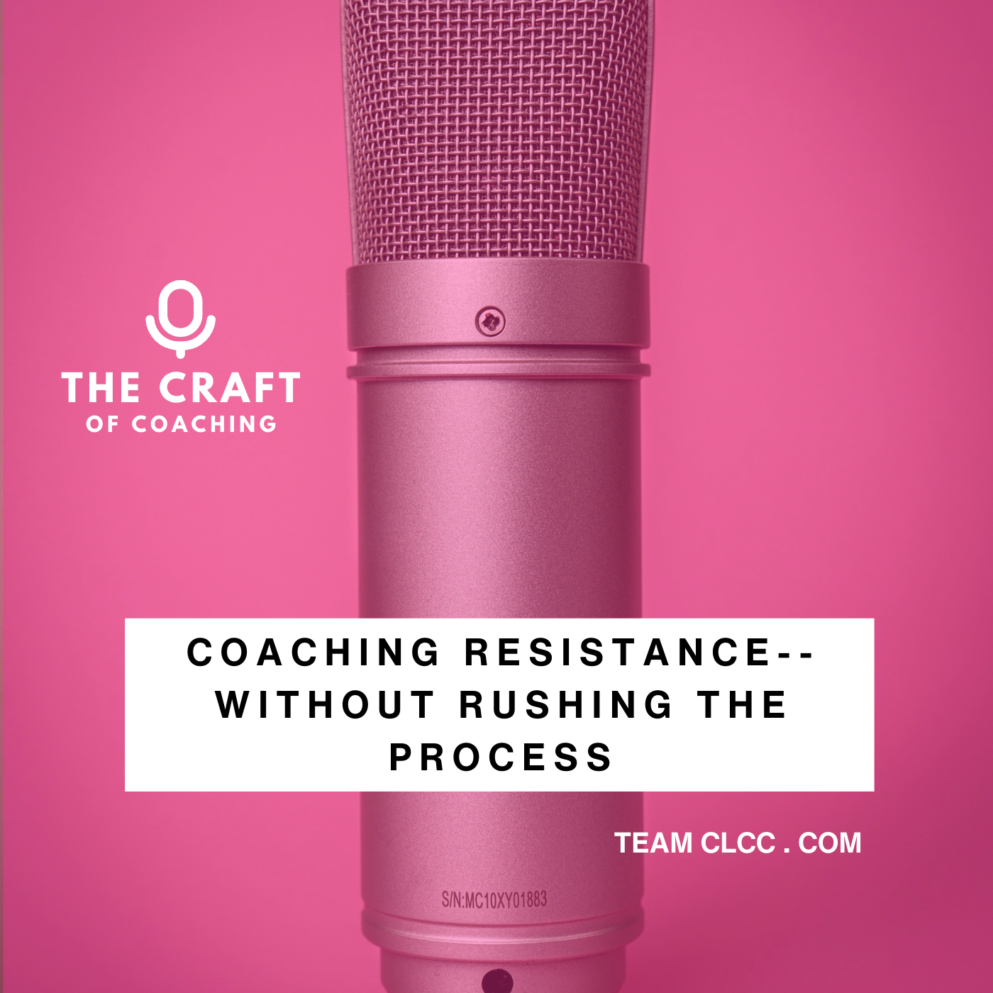 Coaching Client Resistance Without Rushing The Process