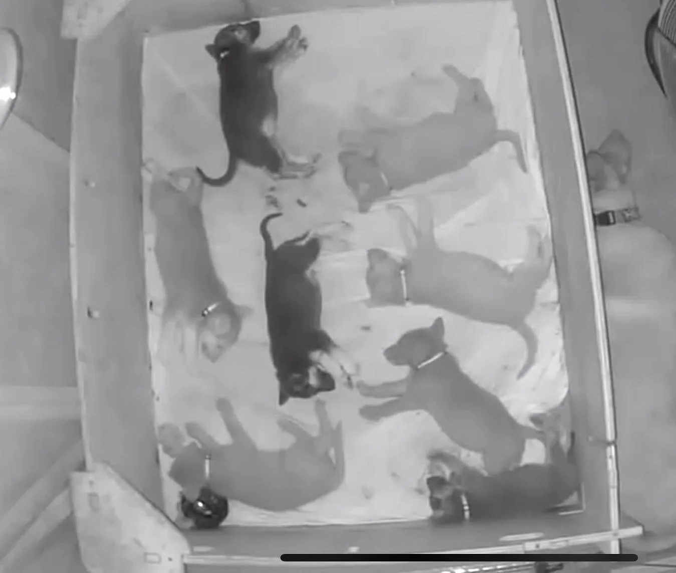 Nap time!