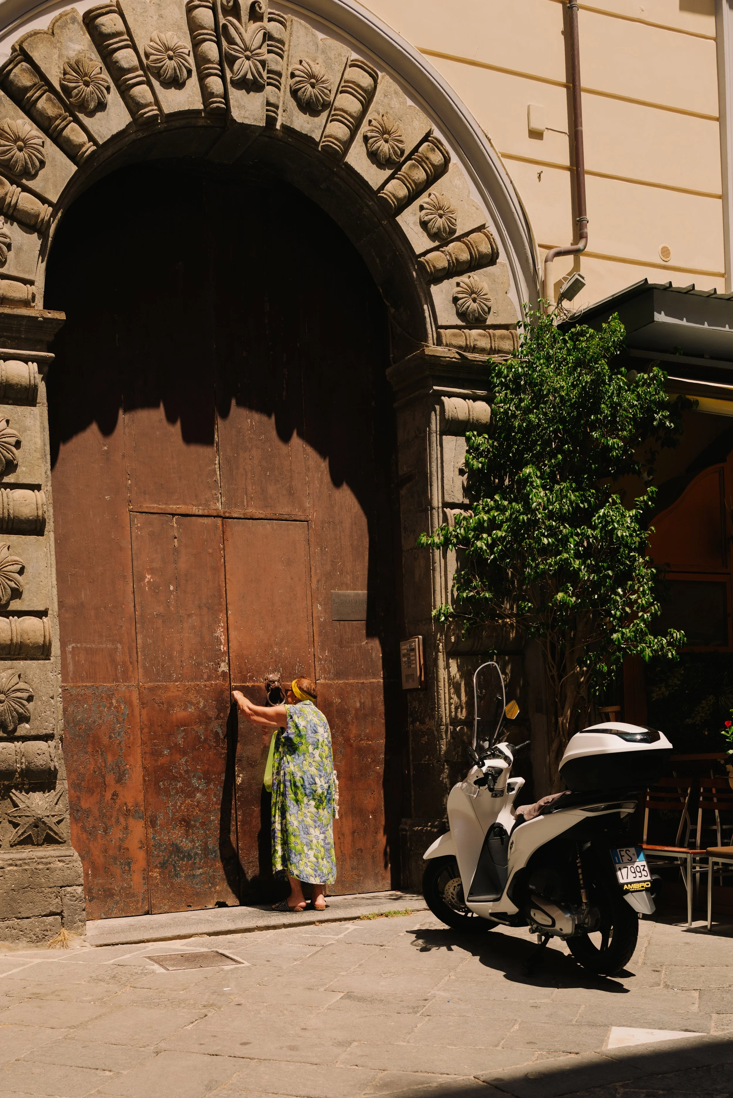 L1005631.jpg
