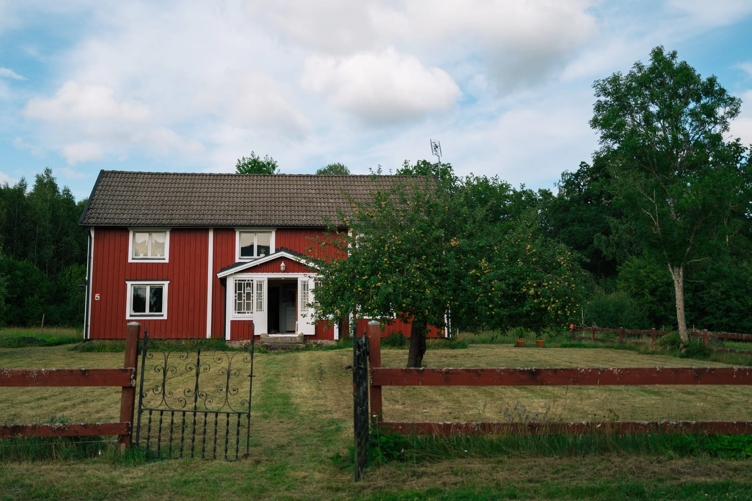 L1004594.jpg
