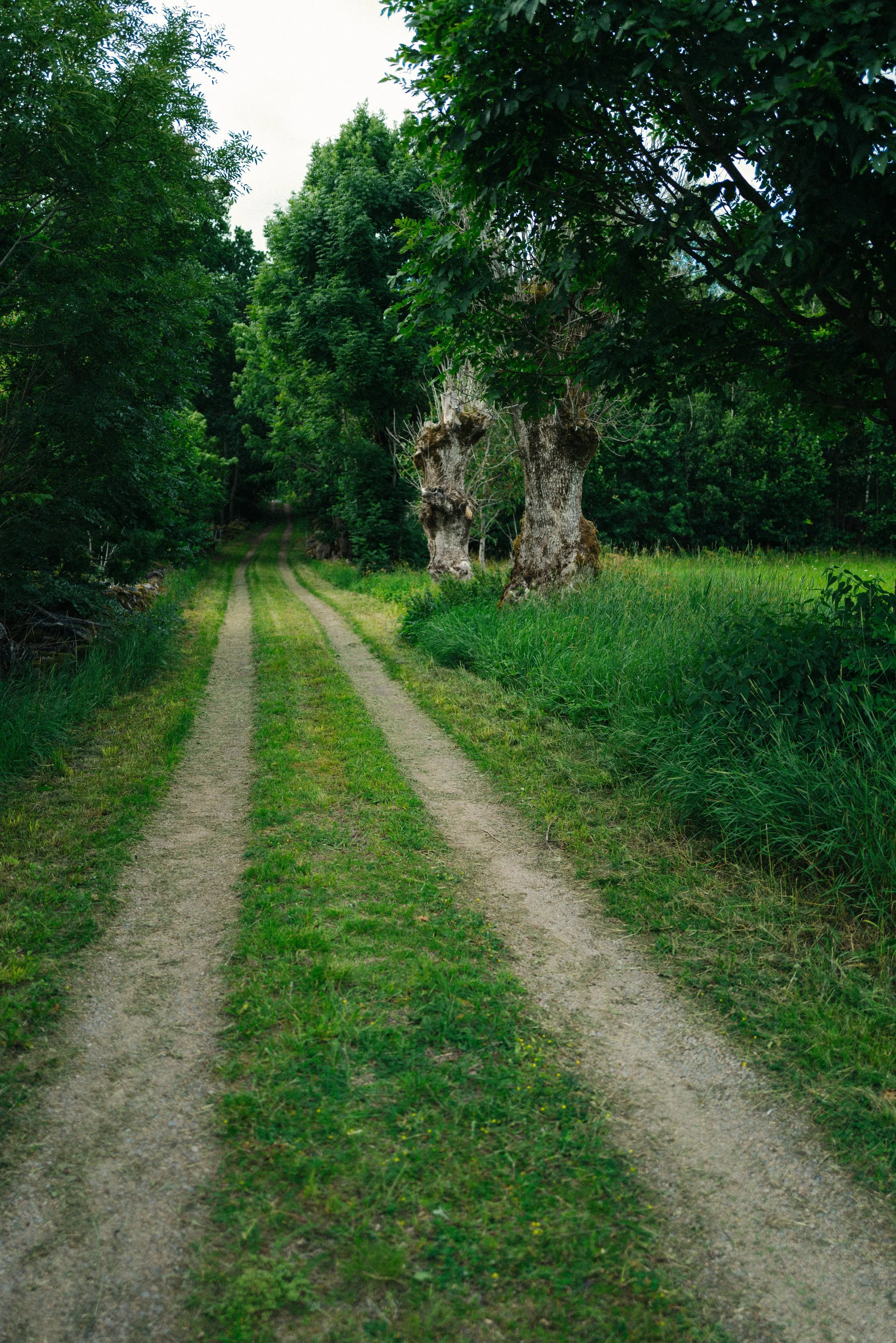 L1004599.jpg