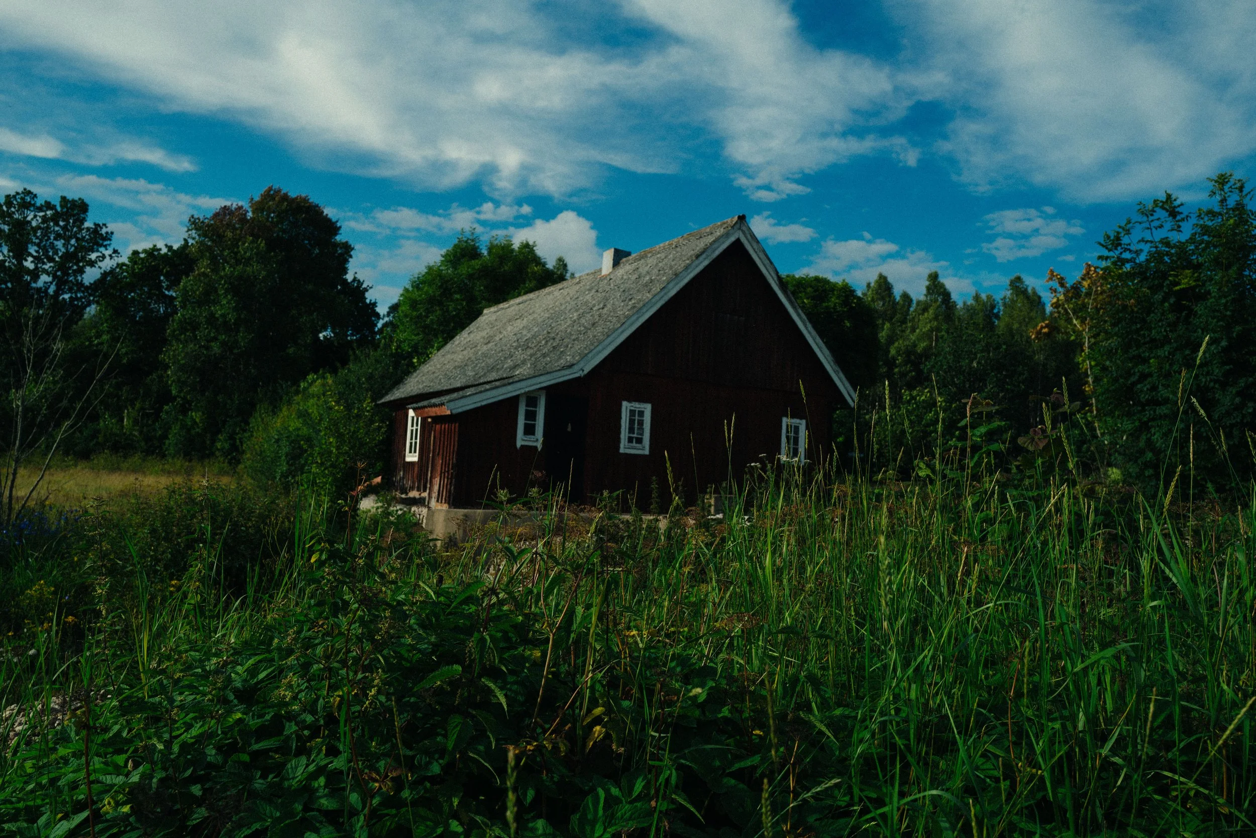 L1004574.jpg