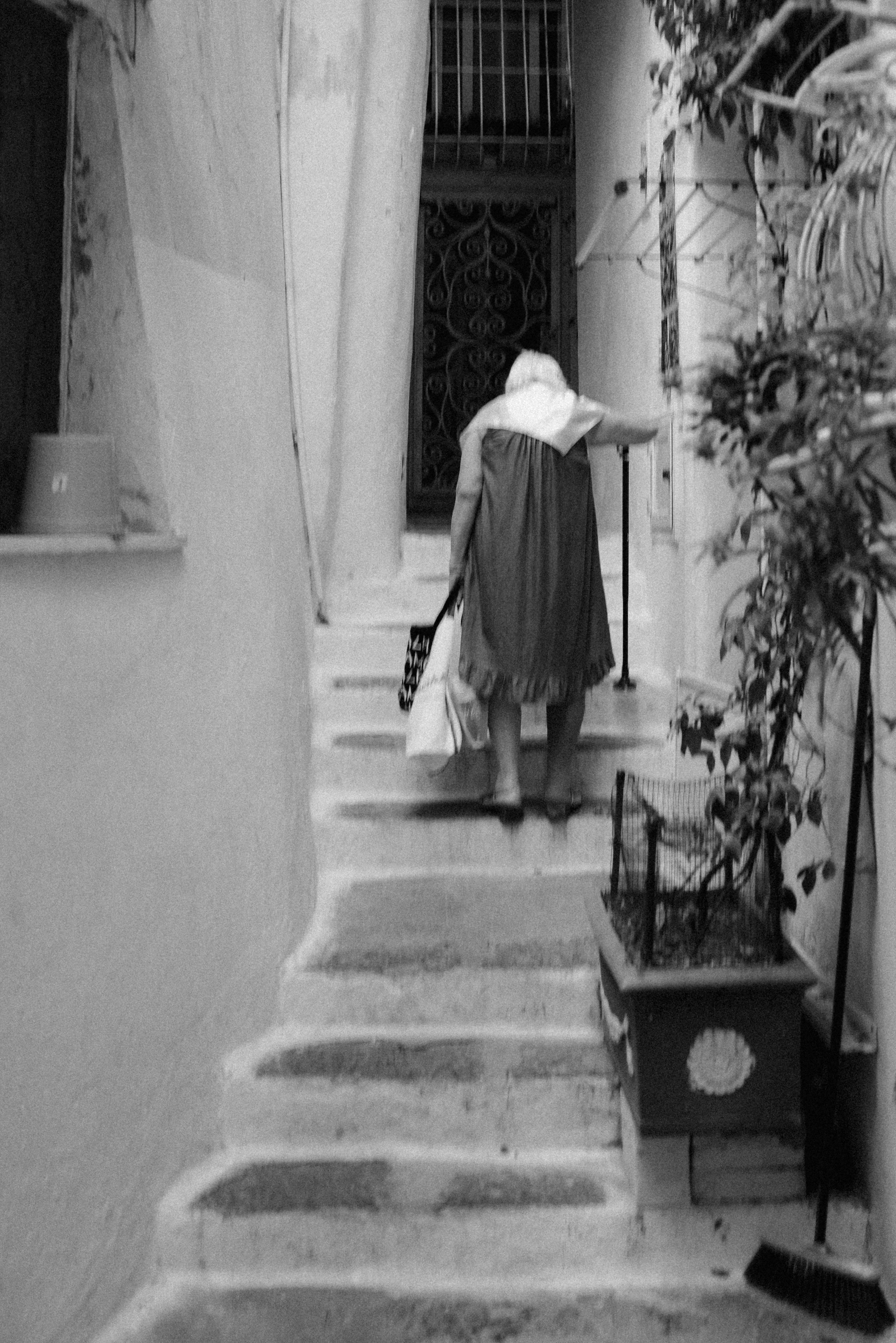 L1010967.jpg