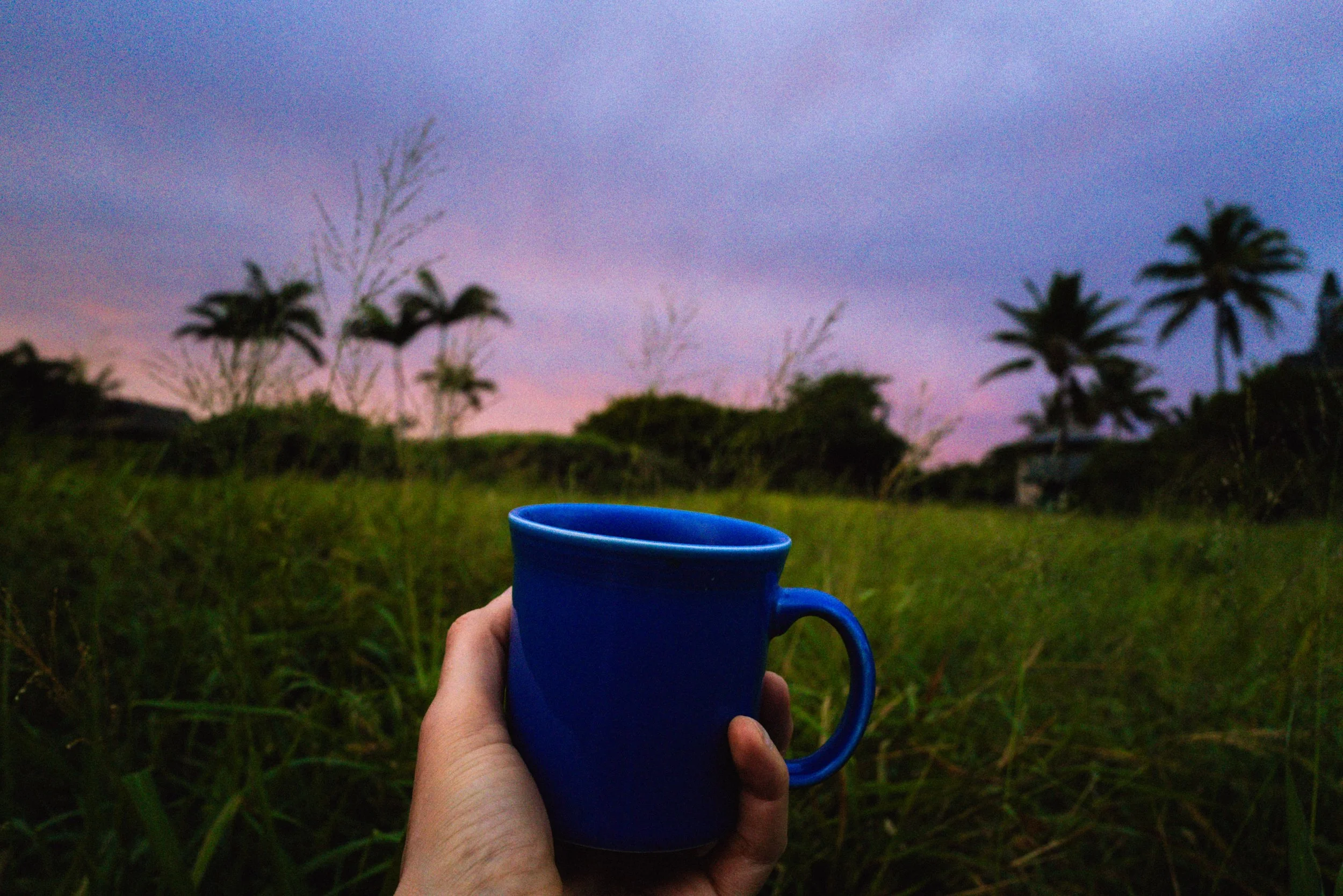 Maui morning coffee