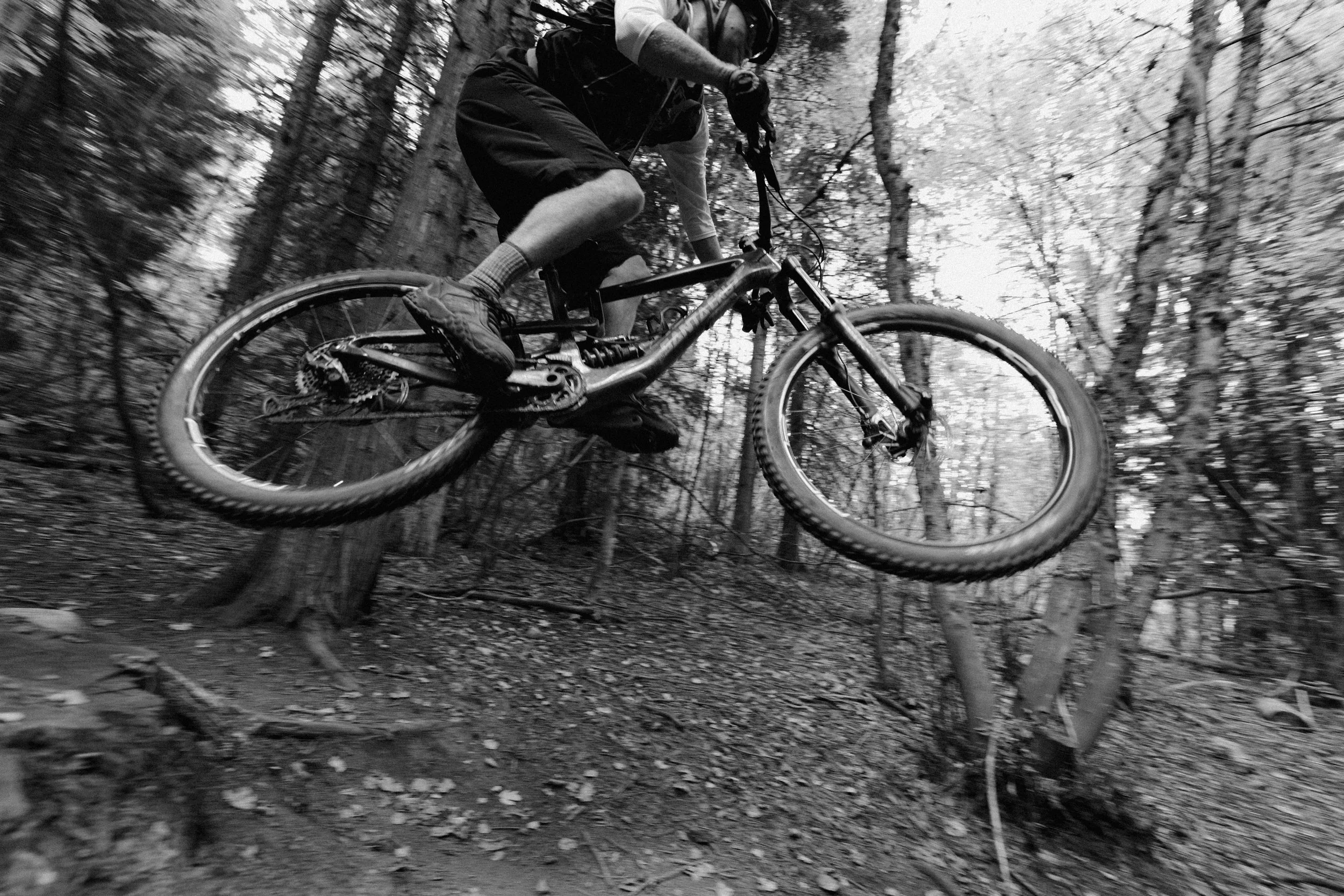 DSC_1261.jpeg