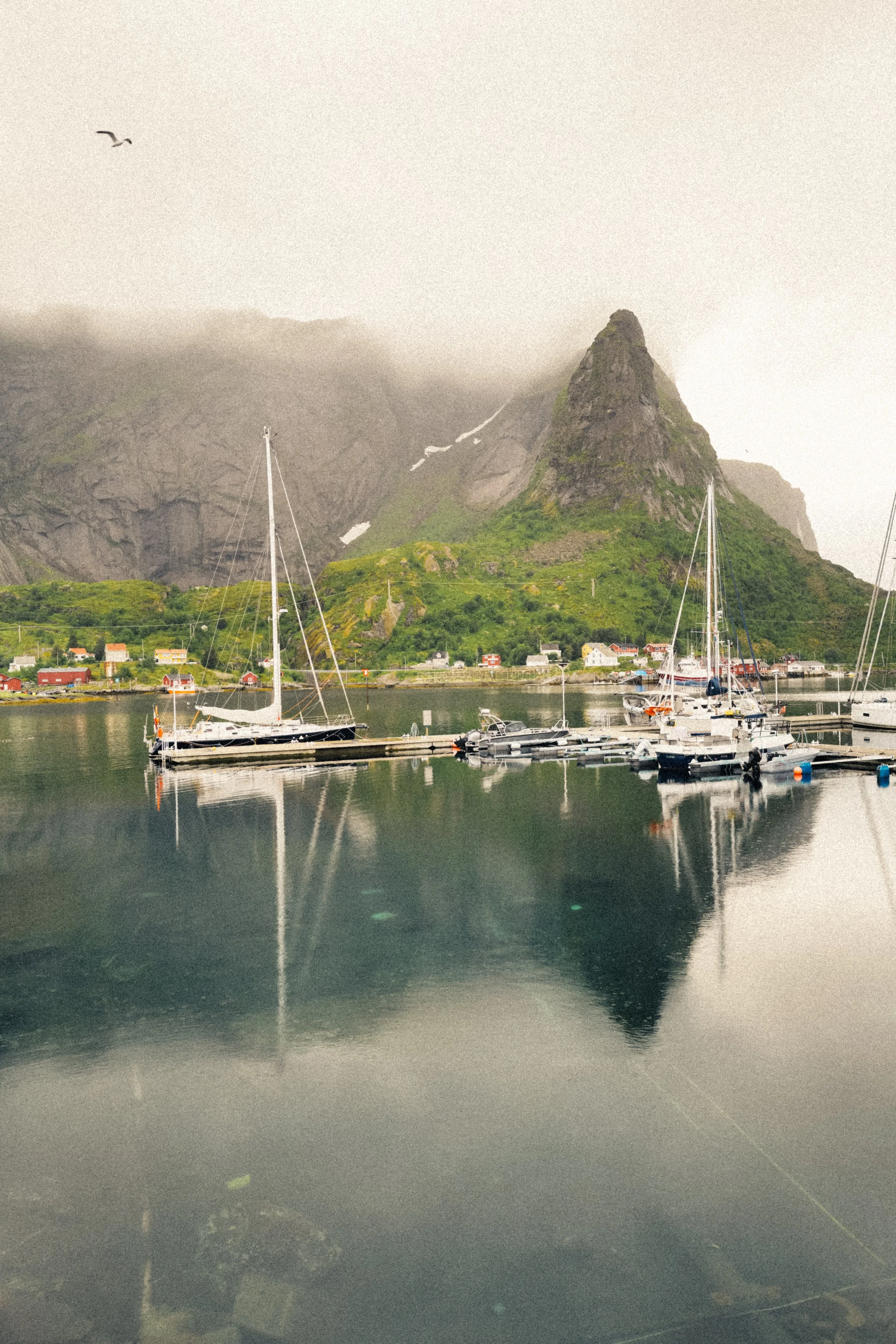 DO01022966.jpeg