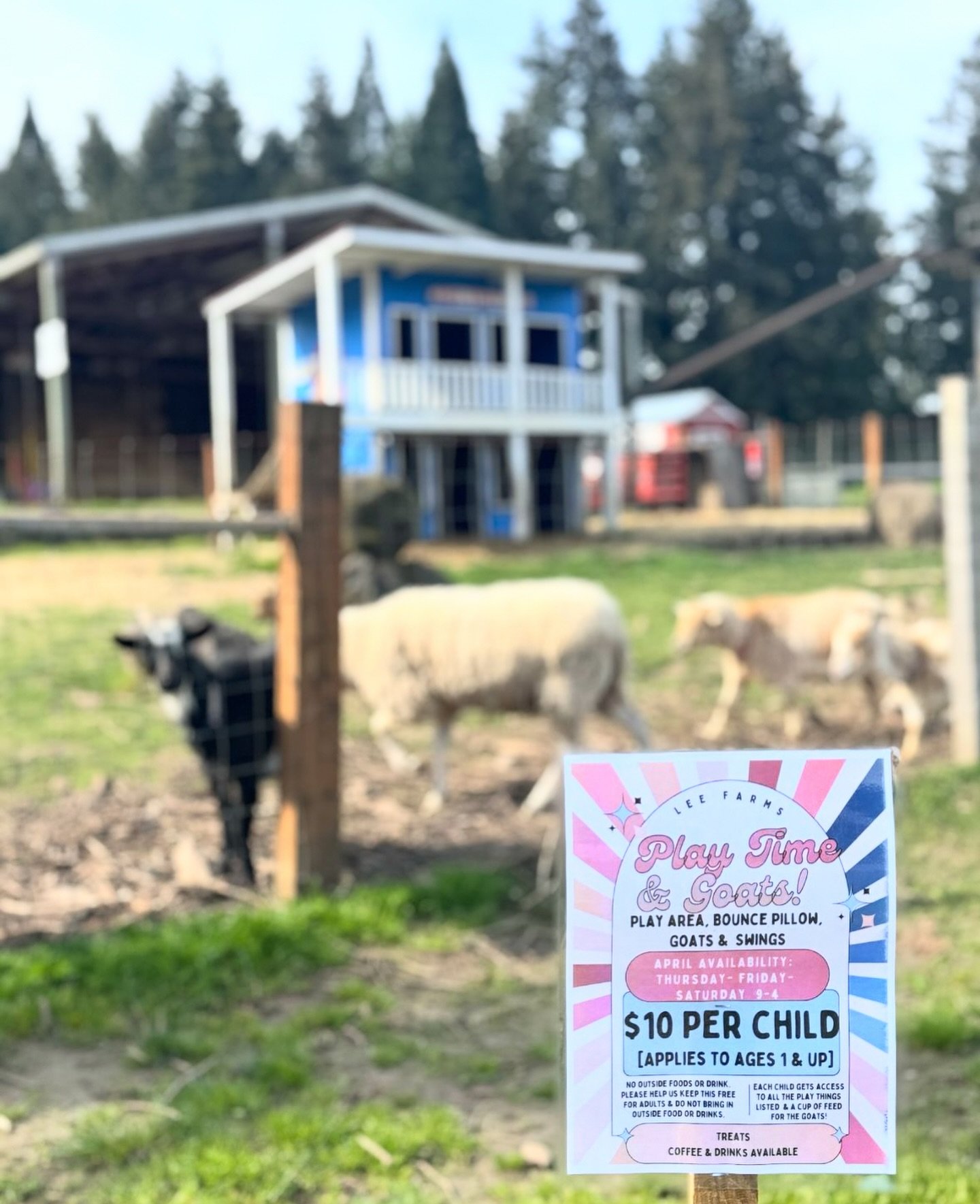 Play time is back at the farm! 
FOR THE MONTH OF APRIL: we&rsquo;re open Thursday, Friday &amp; Saturday from 9-4 to come jump on the bounce pillow, swing, play in the play area and feed the goats! 
$10 per child, caretakers free! 
#leefarms #oregon 