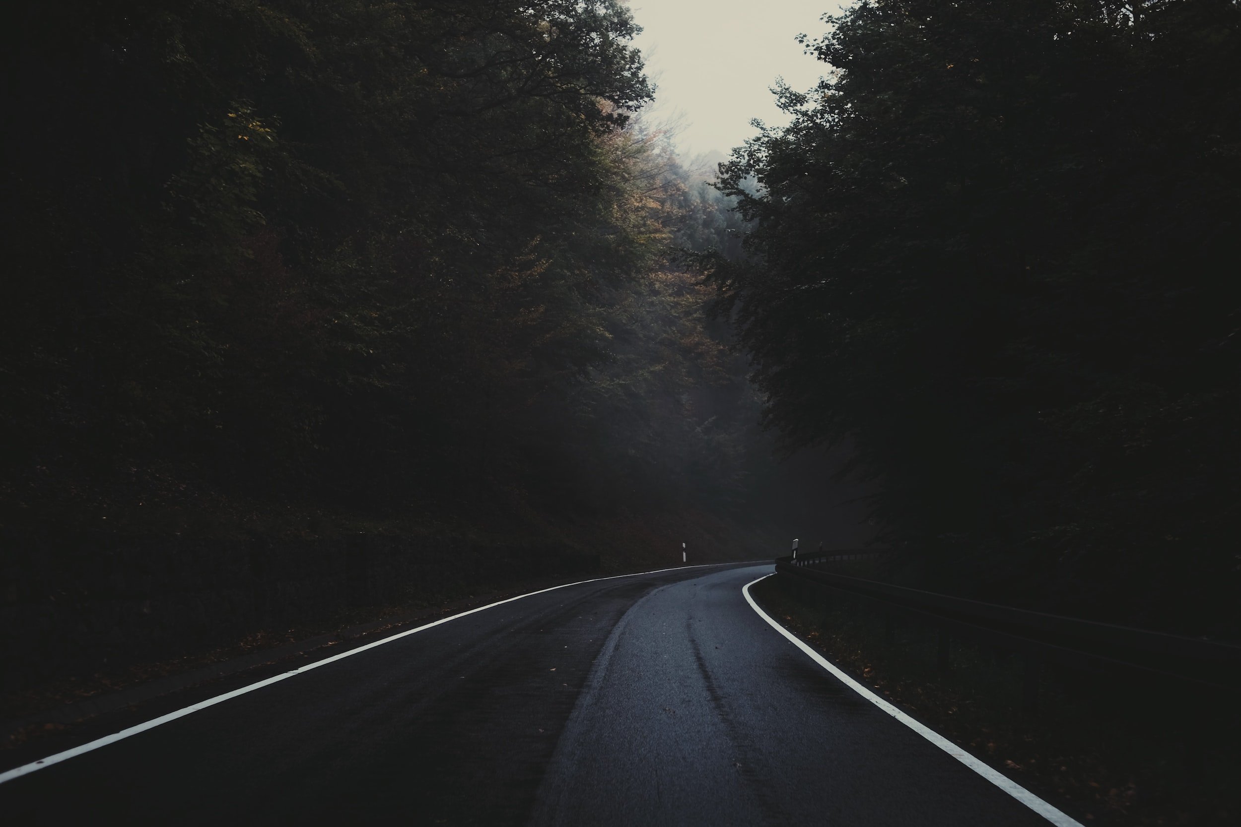 Life in the Dark