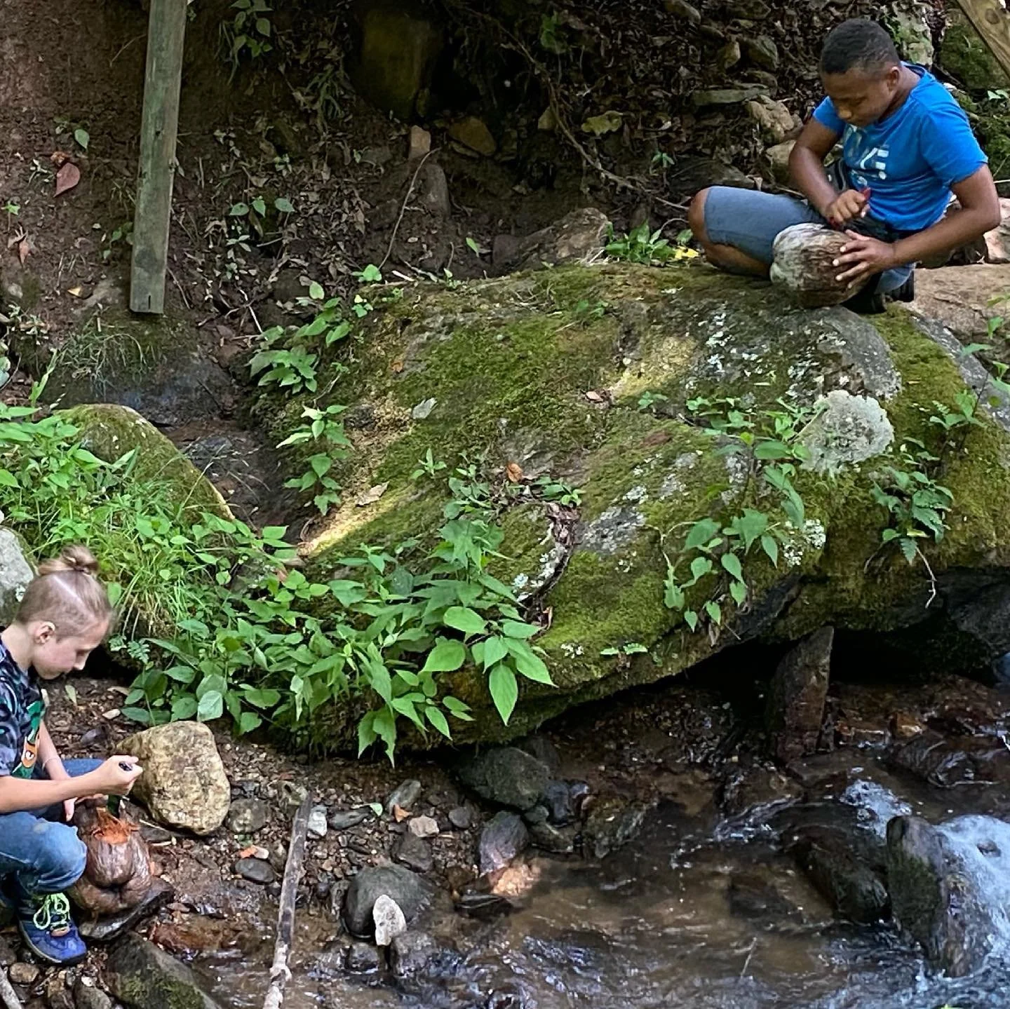 General 2 — Piked Antler Project