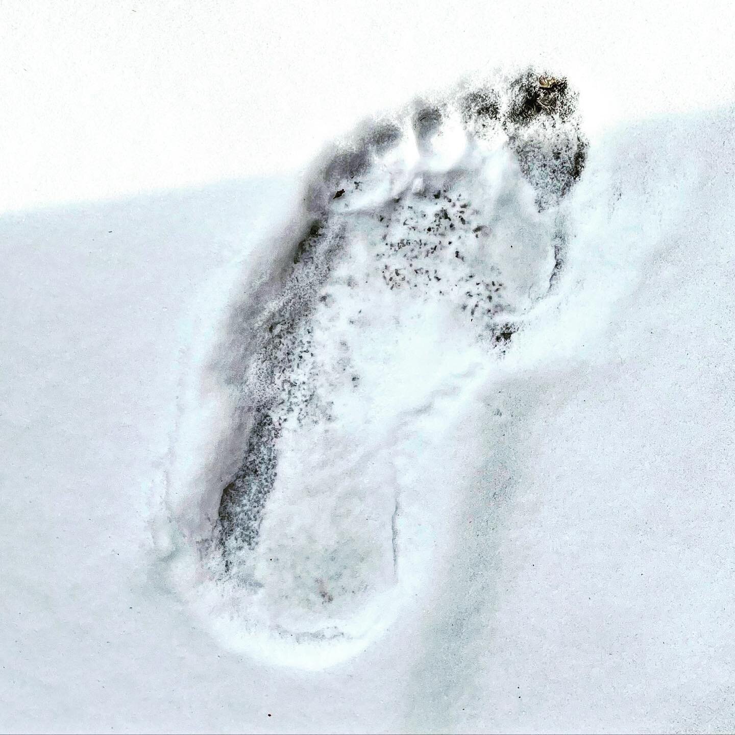 One single bare footprint left in the snow on my back deck last night.  Call The Hardy Boys.