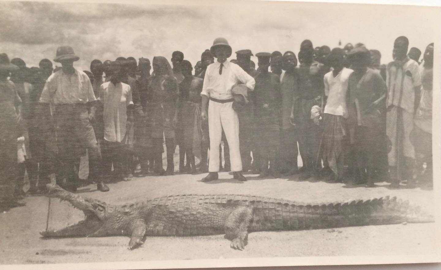 This is my great grandad. He put on his pith helmet and fought this crocodile to make the world safer for all Englishmen.